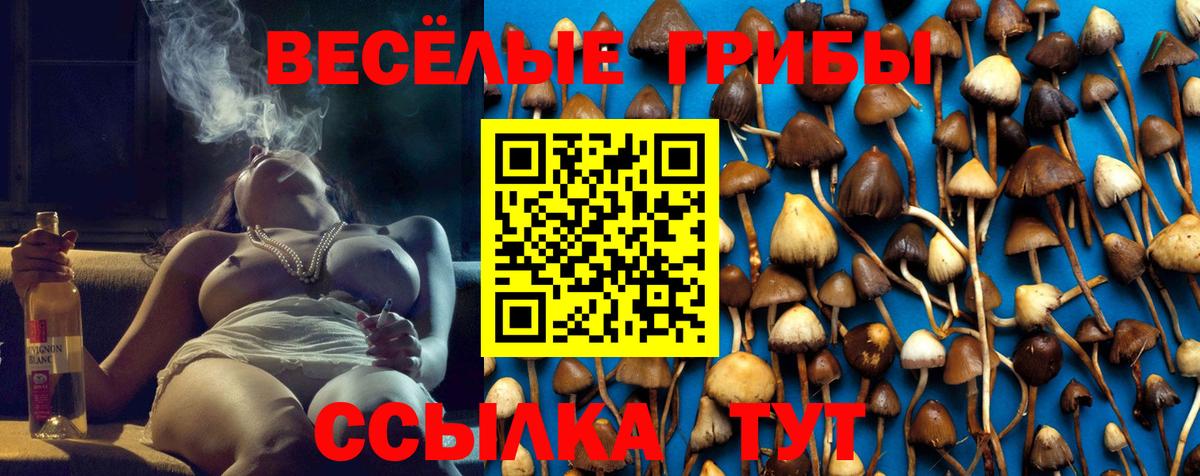 Рассказово  Псилоцибиновые грибы Psilocybe  Вход с VPN  Псилоцибиновые грибы Psilocybe 